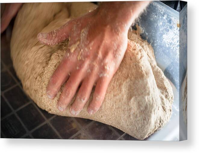 Expertise Canvas Print featuring the photograph Kneading organic dough by Jacobo Zanella