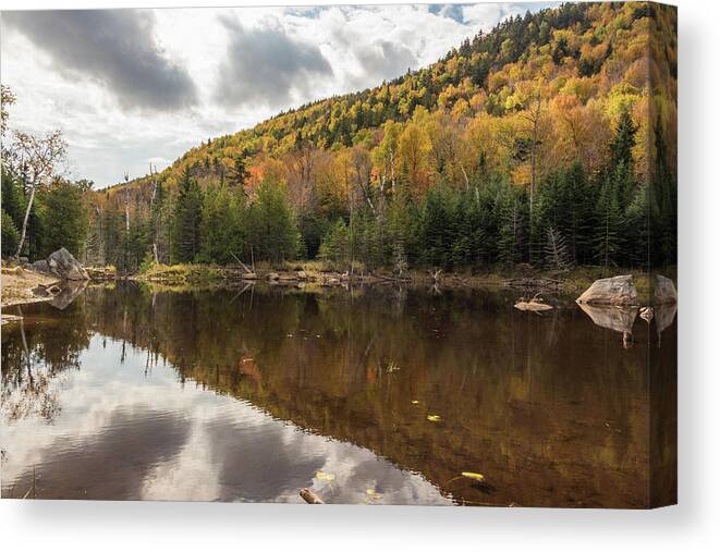 White Face Canvas Print featuring the photograph Lake Side Colors by Kristopher Schoenleber