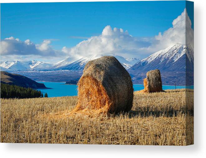 Tekapo Canvas Print featuring the photograph Lake Tekapo with hay bales and mountain background by Lingxiao Xie