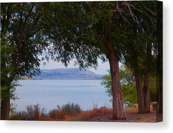 Lake Canvas Print featuring the photograph Lake View by Yvonne M Smith