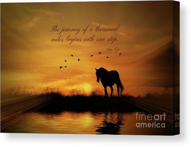 Horse Canvas Print featuring the photograph Lao Tzu Famous Quote The Journey of a Thousand Miles begins with One Step. by Stephanie Laird
