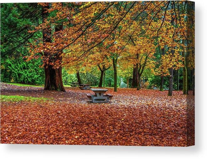 Alex Lyubar Canvas Print featuring the photograph Late Autumn in the City Park  by Alex Lyubar