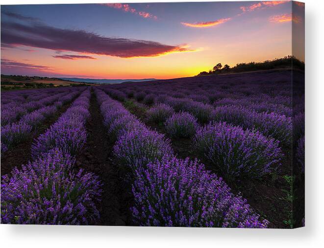 Bulgaria Canvas Print featuring the photograph Lavender Sky by Evgeni Dinev