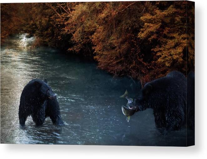 Lessons Learnt Canvas Print featuring the photograph Lessons Learnt - Bear Art by Jordan Blackstone