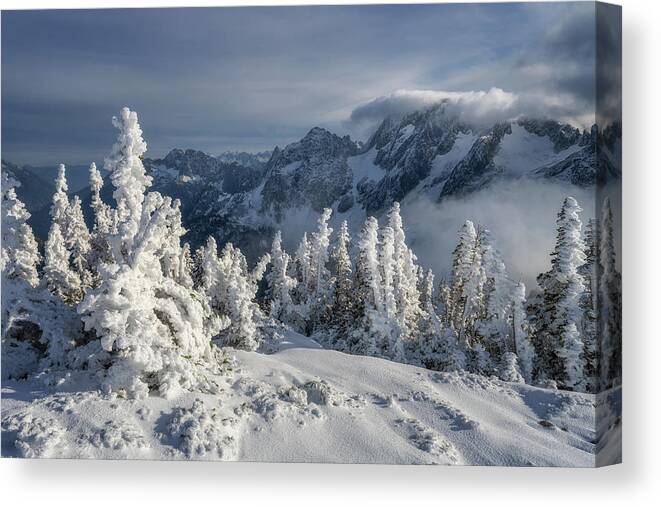 Winter Canvas Print featuring the photograph Let it Snow by Ryan McGinnis