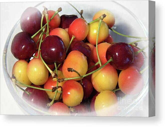 Cherries Canvas Print featuring the photograph Life Is Just A by Kae Cheatham