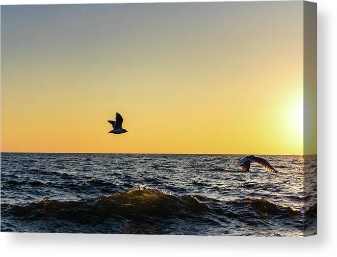 Flight Canvas Print featuring the photograph Lift by Rich Kovach