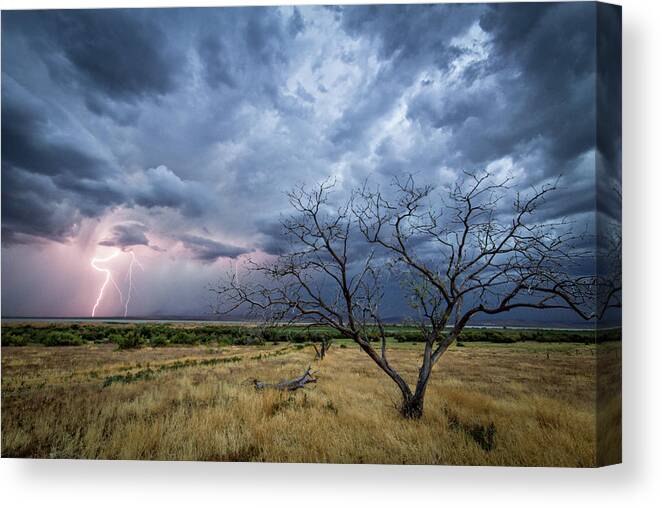 Storm Canvas Print featuring the photograph Lightning Strike with Tree by Wesley Aston