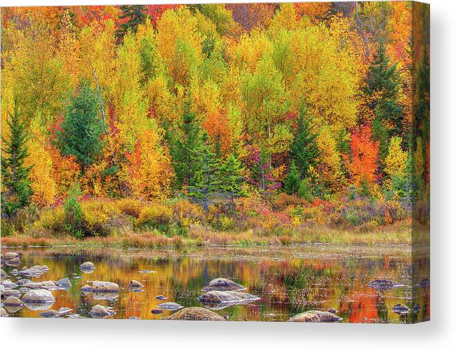 Lily Pond Canvas Print featuring the photograph Lily Pond in the New Hampshire White Mountains by Juergen Roth