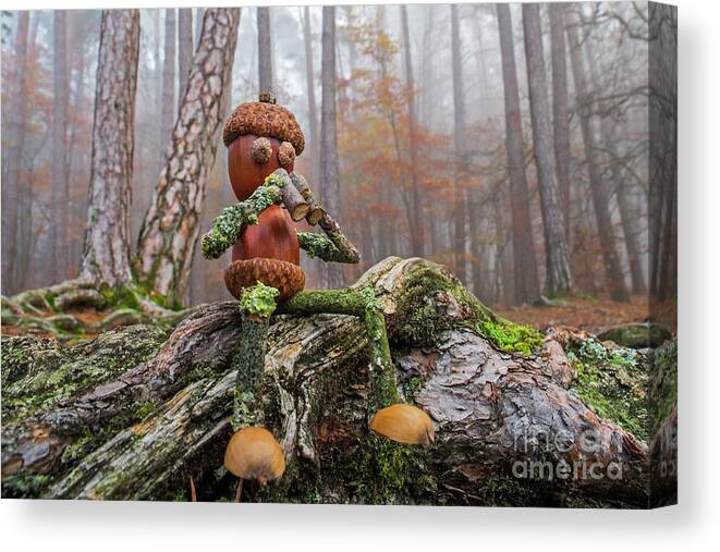 Figure Canvas Print featuring the photograph Little Acorn Man Looking for Wildlife by Arterra Picture Library