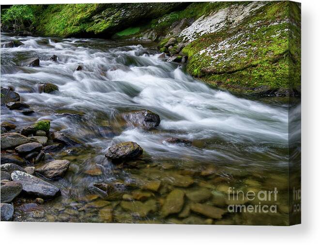 Smokies Canvas Print featuring the photograph Little River Rapids 15 by Phil Perkins