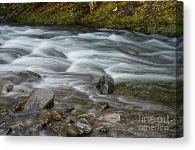 Smokies Canvas Print featuring the photograph Little River Rapids 18 by Phil Perkins