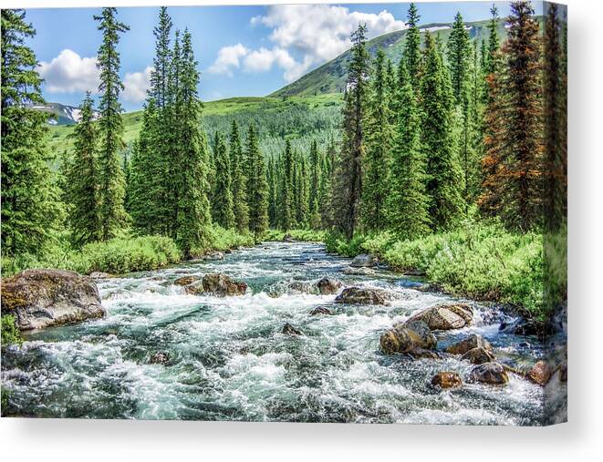 Little Susitna River Canvas Print featuring the photograph Little Susitna River - Alaska by Dee Potter