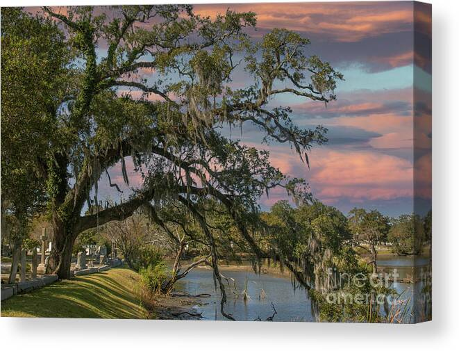 Live Oak Tree Canvas Print featuring the photograph Live Oak Stretching over the Water - Magnolia Cemetery by Dale Powell