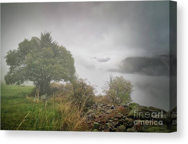 Trees Canvas Print featuring the photograph Lone tree by Thomas Nay