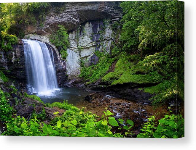 3scape Canvas Print featuring the photograph Looking Glass Falls, NC by Adam Romanowicz