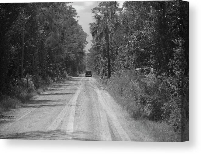 Florida Canvas Print featuring the photograph Loop Road by Alison Belsan Horton