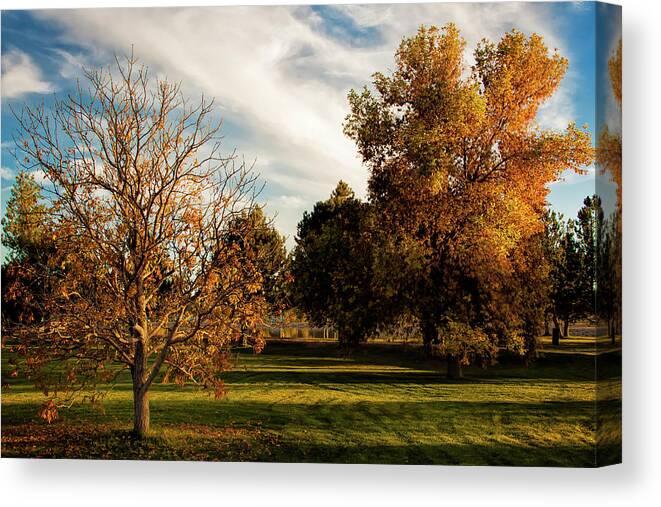 Autumn Canvas Print featuring the photograph Lost in Autumn by Steve Sullivan
