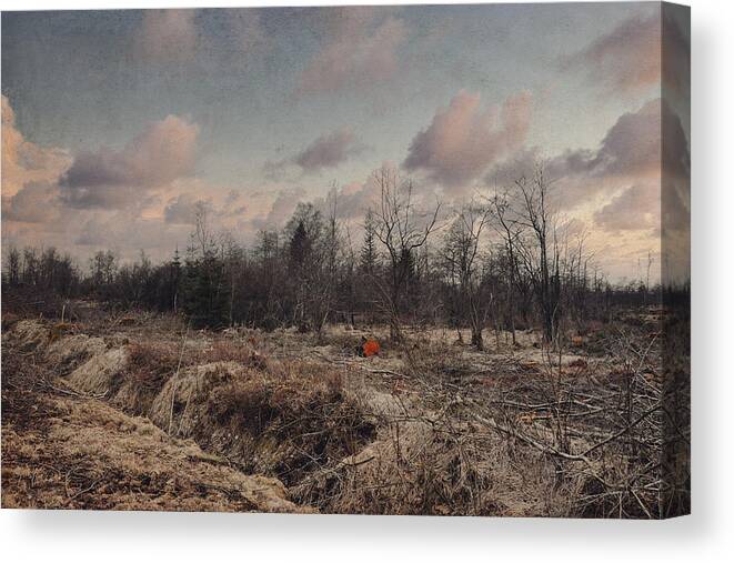 Land Canvas Print featuring the photograph Lost in the forest by Yasmina Baggili