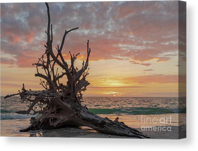 Coastlines Canvas Print featuring the photograph Lovers Key by Maresa Pryor-Luzier