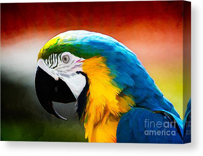 Birds Canvas Print featuring the photograph Macaw Tropical Bird by Eleanor Abramson