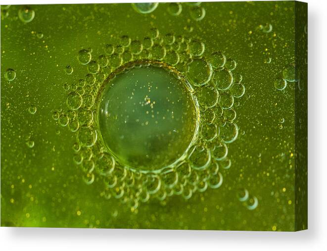 Curve Canvas Print featuring the photograph Macro Bubbles by Jean-Marc PAYET