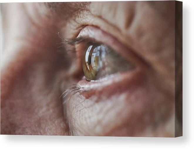 Eyelash Canvas Print featuring the photograph Macro Eye of Female Senior by Rhys Hayward