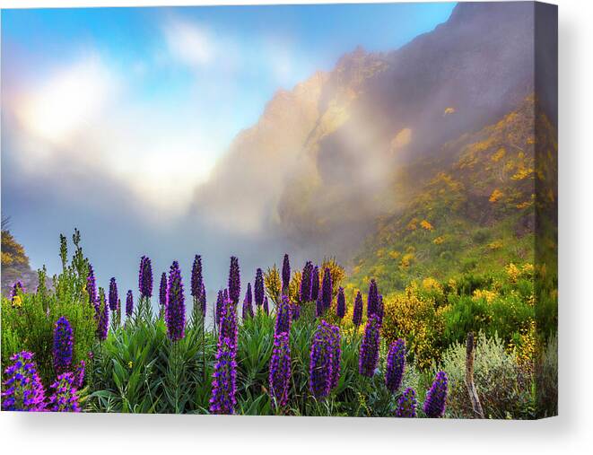 Atlantic Ocean Canvas Print featuring the photograph Madeira by Evgeni Dinev