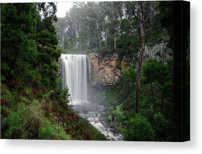Waterfall Canvas Print featuring the photograph Magic Falls by Damian Morphou