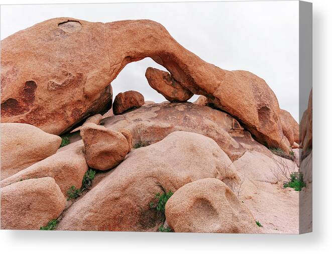 Joshua Tree National Park Canvas Print featuring the photograph March 2021 Arch by Alain Zarinelli