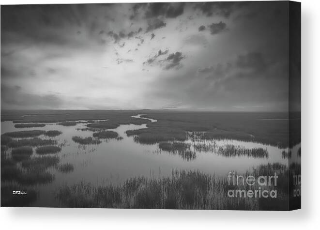 Landscapes Canvas Print featuring the photograph Marshes of Glynn 2 by DB Hayes