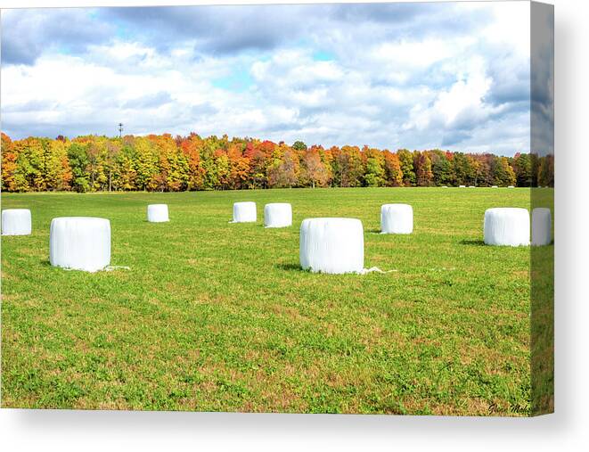 Haybales Canvas Print featuring the photograph Marshmallows by GLENN Mohs