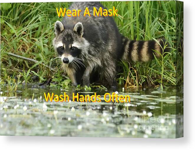 Photography Canvas Print featuring the photograph Mask and Wash by Larry Ricker