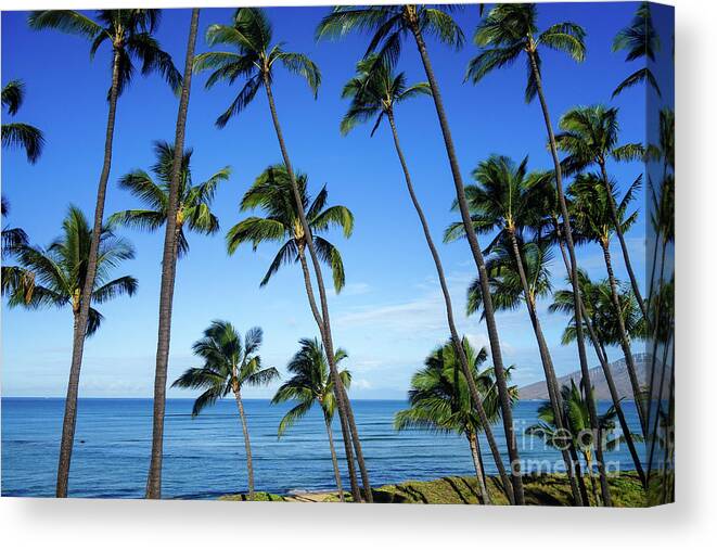 Hawaii Canvas Print featuring the photograph Maui Paradise by Wilko van de Kamp Fine Photo Art