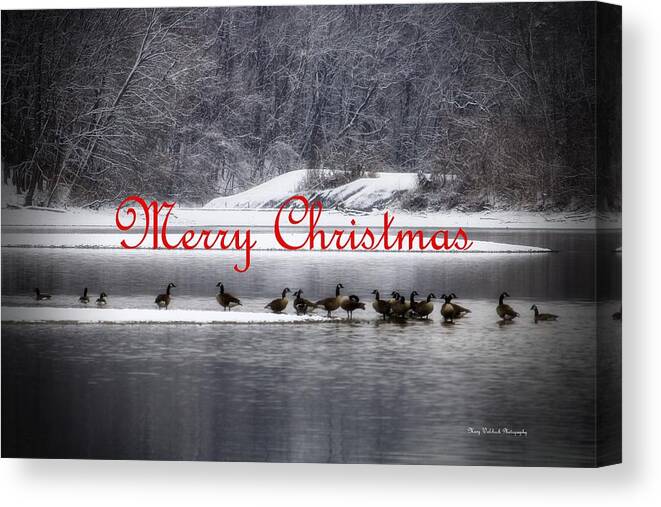 Christmas Canvas Print featuring the photograph Merry Christmas Canadian Geese by Mary Walchuck