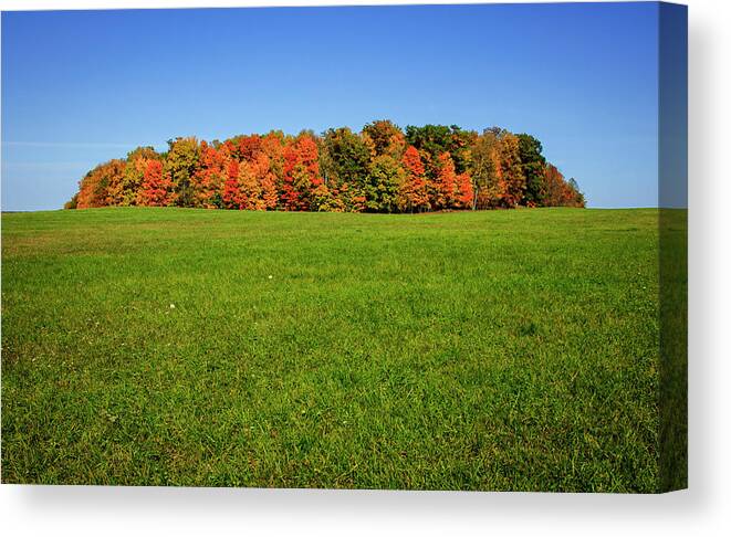 Michigan Canvas Print featuring the photograph Michigan Woodlot in Autumn by Mary Lee Dereske