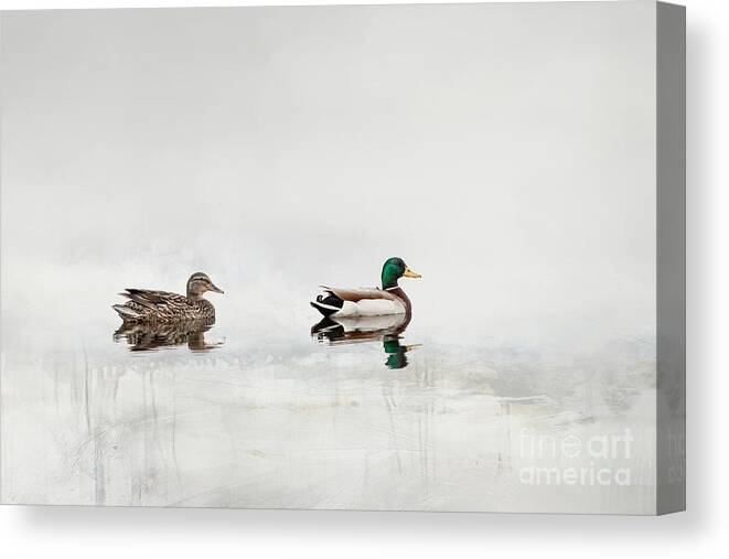 Mallard Canvas Print featuring the digital art Minimalist Mallard Ducks by Jayne Carney