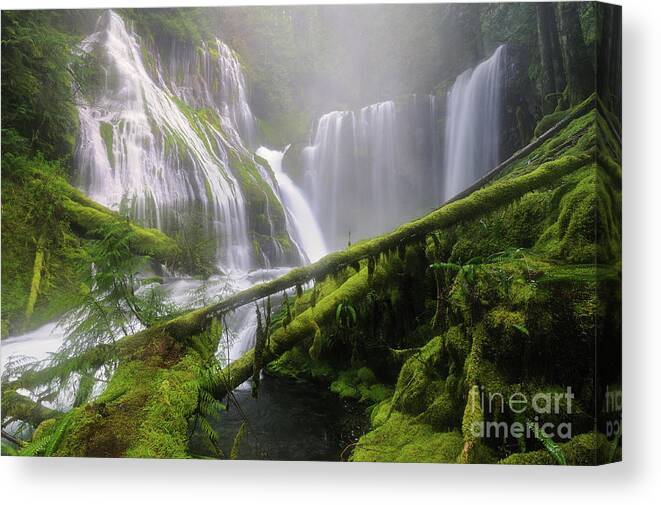 Columbia River Gorge Canvas Print featuring the photograph Mist and Fog at Panther Creek Falls by Tom Schwabel