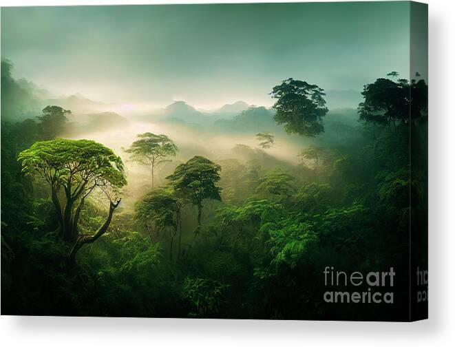 Jungle Canvas Print featuring the photograph Misty jungle rainforest from above in the morning. Tropical fore by Jelena Jovanovic