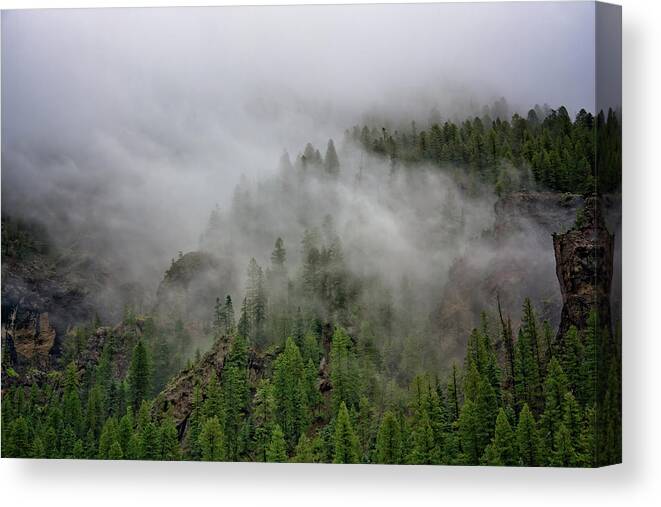  Wolf Creek Pass Canvas Print featuring the photograph Misty Pines by Lana Trussell