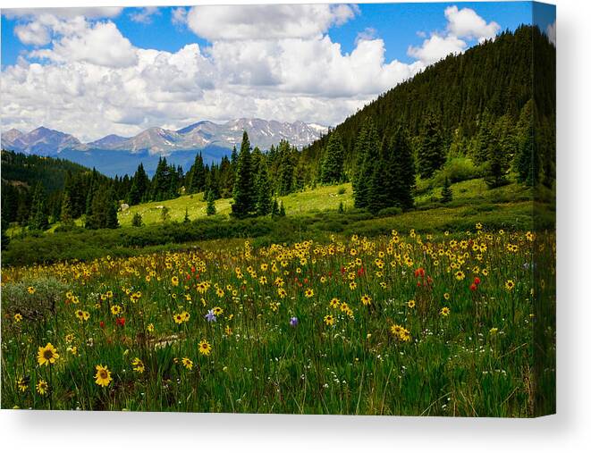 Jeremy Rhoades Canvas Print featuring the photograph Mixed Flowers by Jeremy Rhoades