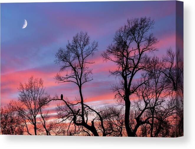 Moon Canvas Print featuring the photograph Moment of Solitude by Darren White