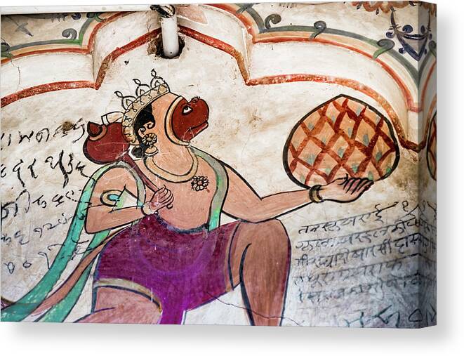 Anuman Canvas Print featuring the photograph Monkey king from Nawalgarh, Rajasthan by Lie Yim