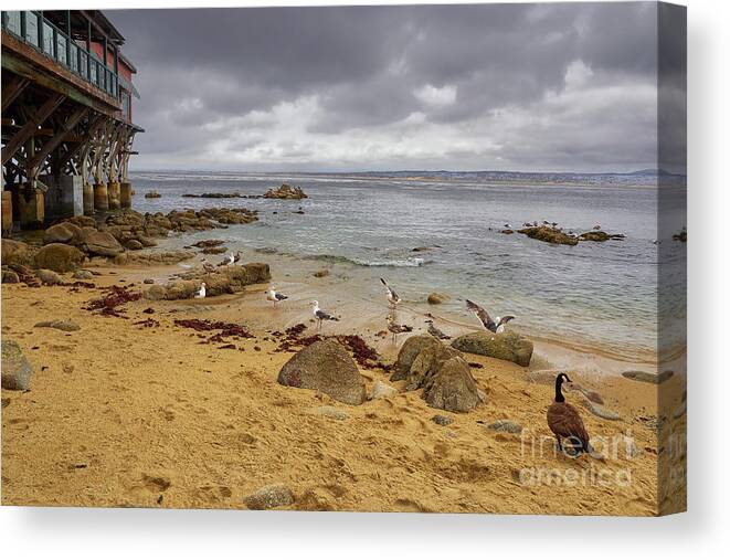 Monterey Canvas Print featuring the photograph Monterey Bay by Steve Ondrus