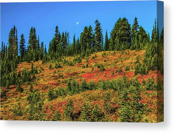 Mount Rainier National Park Canvas Print featuring the photograph Moon Over Paradise by Doug Scrima