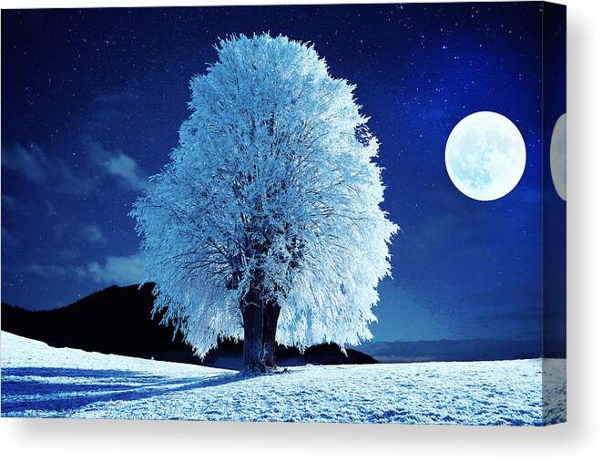Moonlit Night Canvas Print featuring the photograph Moonlit Winter Night by Alex Mir