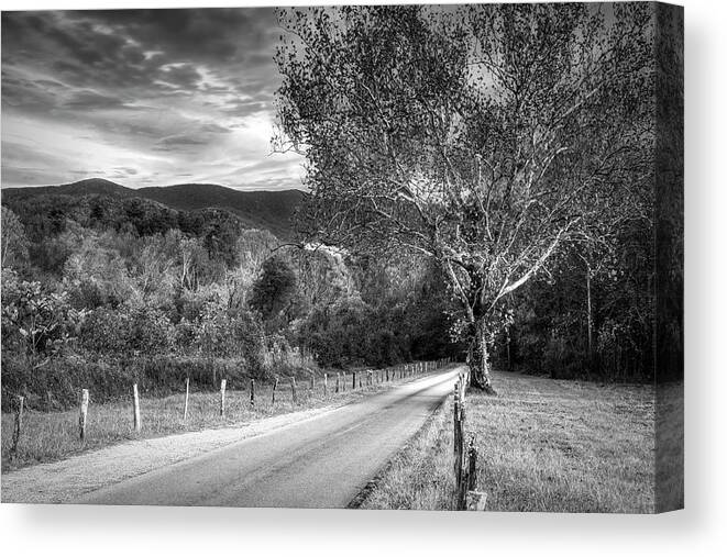 Cades Canvas Print featuring the photograph Morning Along Sparks Lane at Cades Cove Black and White by Debra and Dave Vanderlaan