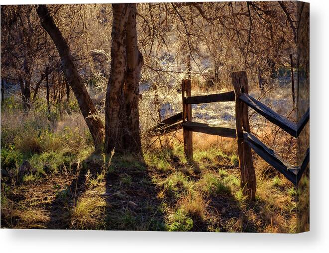 Morning Canvas Print featuring the photograph Morning at Half Moon Ranch Dragoon Mountains by Mary Lee Dereske