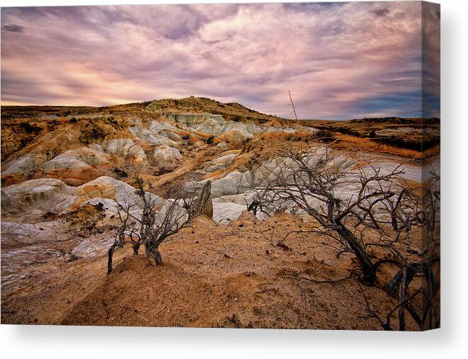 Calhan Canvas Print featuring the photograph Morning at the Paint Mines by Elin Skov Vaeth