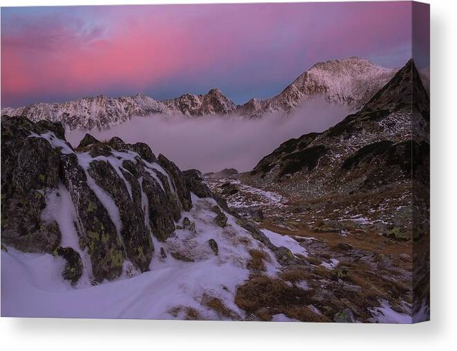 Nature Canvas Print featuring the photograph Morning glow by Cosmin Stan